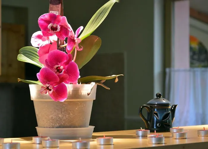 فندق مبيت وإفطار Flamingo Vendeghaz