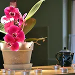 Bed & Breakfast Flamingo Vendeghaz