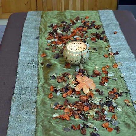 Bed and breakfast Flamingo Vendeghaz 3*