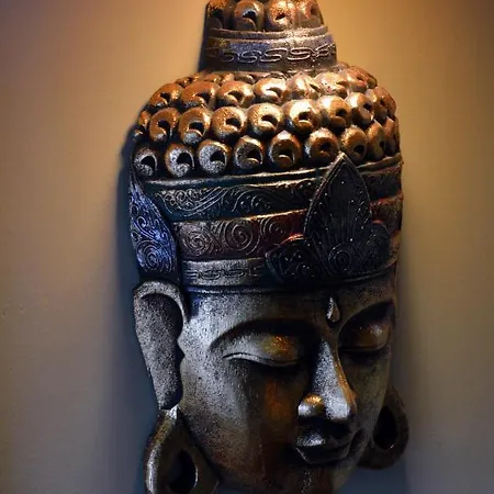 Bed and breakfast Flamingo Vendeghaz